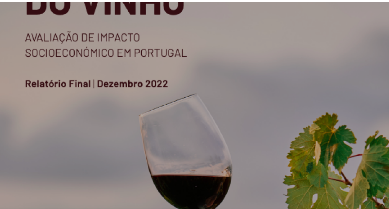 Newsletter n.º 77 - Foto 6